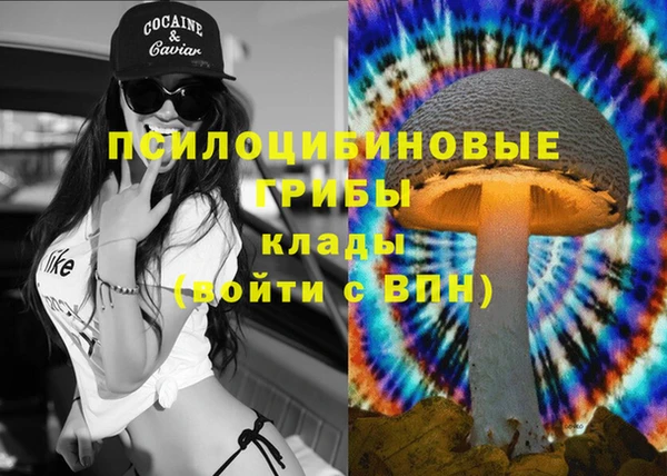 прущая мука Армянск