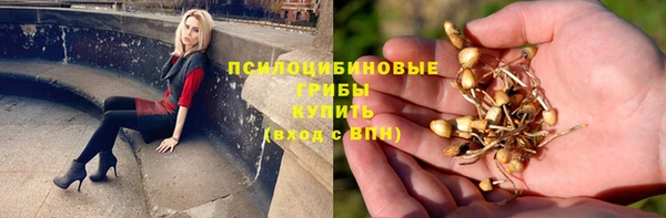 марки lsd Аркадак