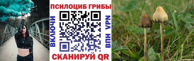 Псилоцибиновые грибы MAGIC MUSHROOMS  Шадринск 
