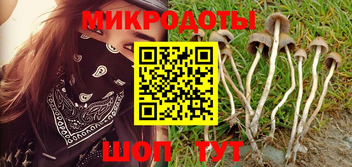 Шадринск  Галлюциногенные грибы Cubensis  Вход с VPN 