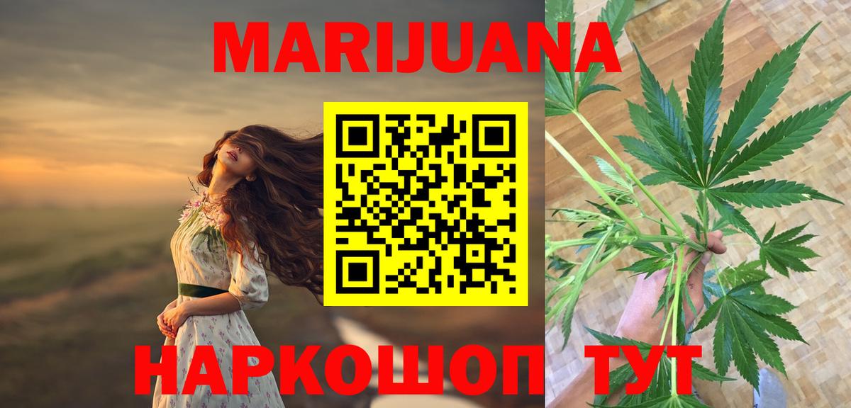 МАРИХУАНА планчик Шадринск